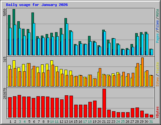 Daily usage for January 2026
