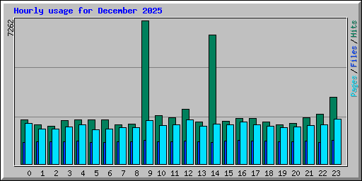 Hourly usage for December 2025