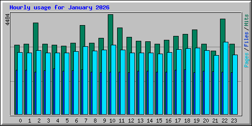 Hourly usage for January 2026